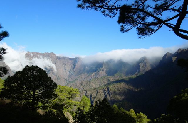 La palma