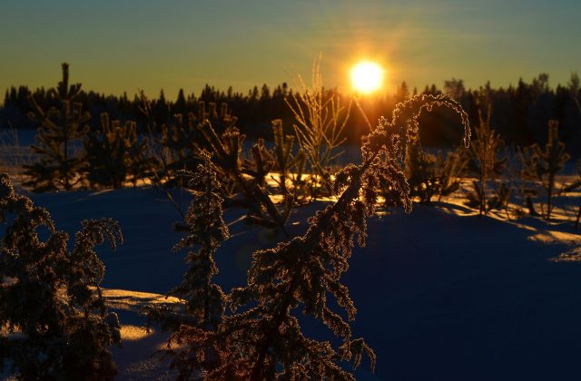 vinter norrland