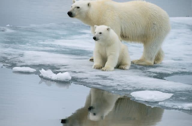 svalbard