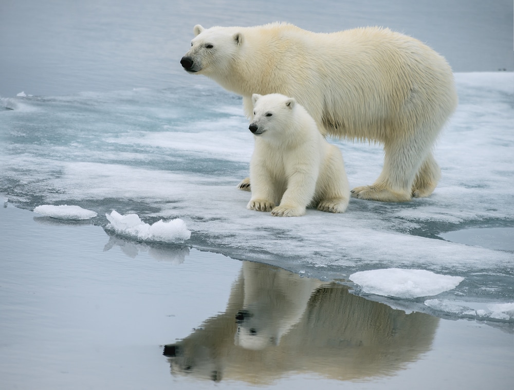 svalbard