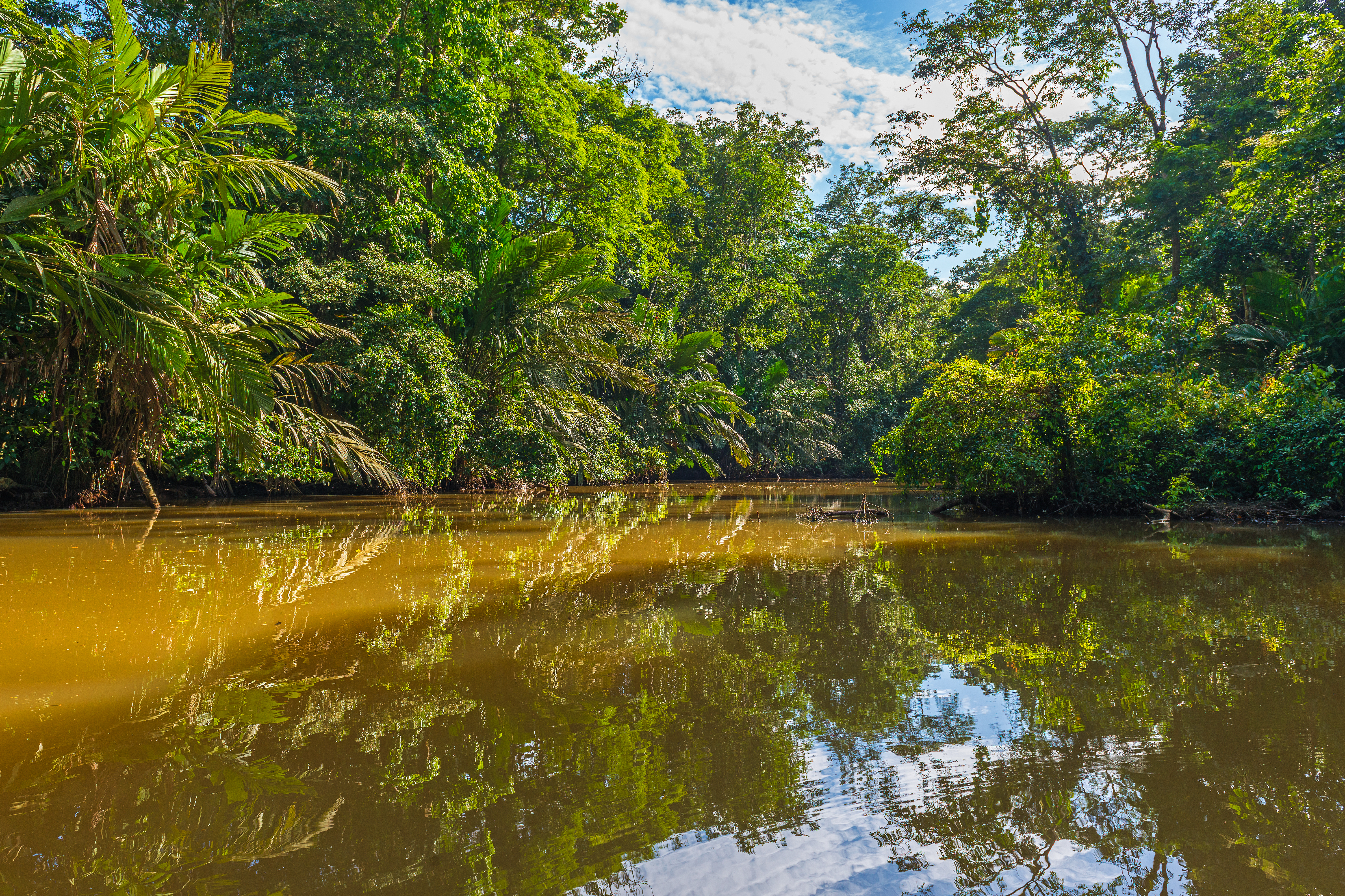 kanal tortuguero