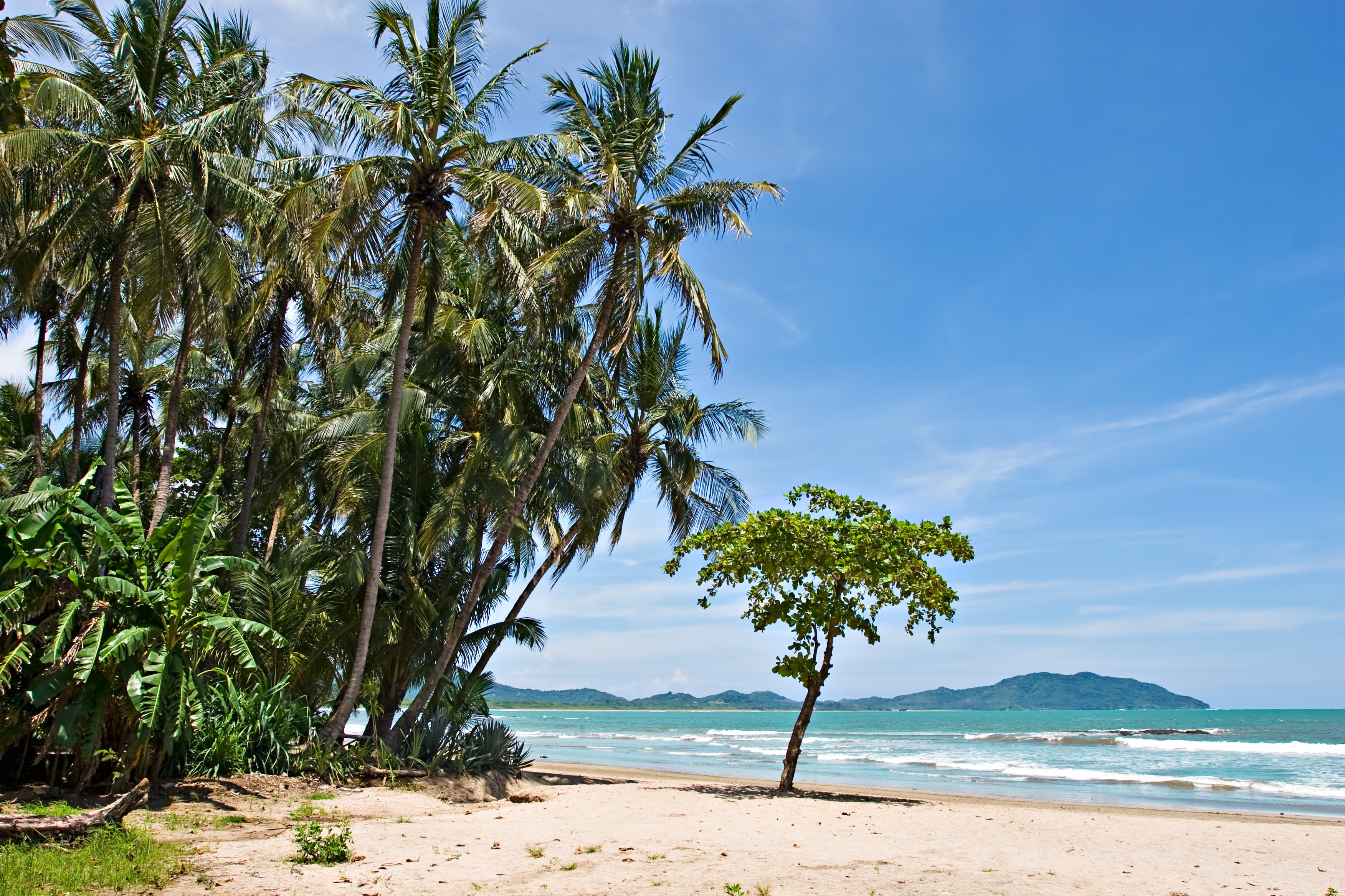 Tamarindo beach